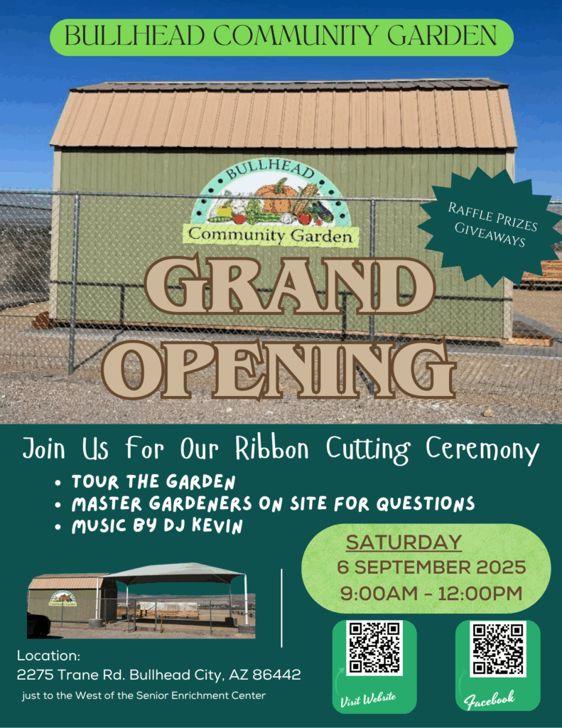 grand opening 2025